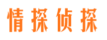 通榆寻人公司